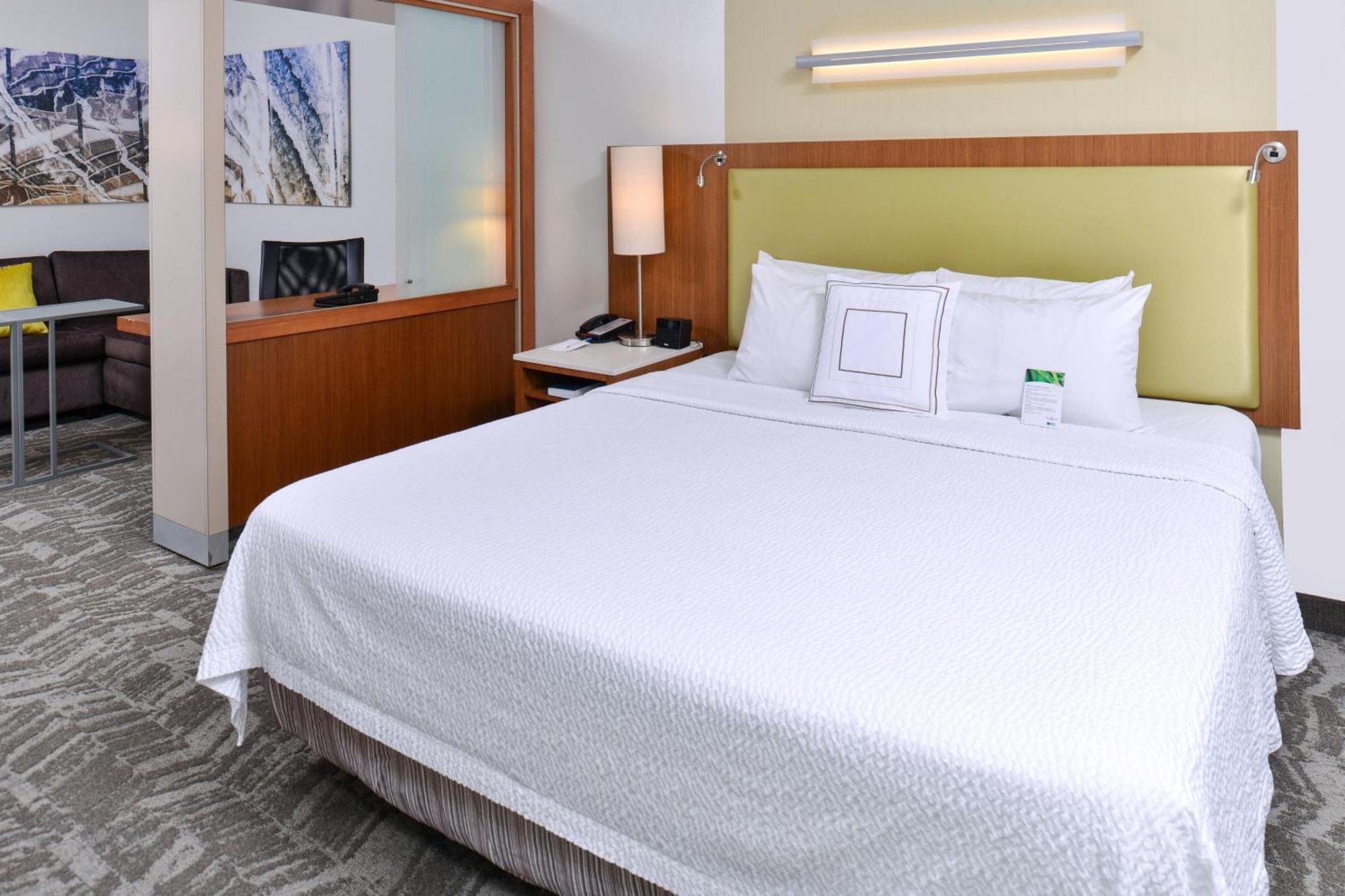 Springhill Suites By Marriott Detroit Metro Airport Ром'юлус Екстер'єр фото