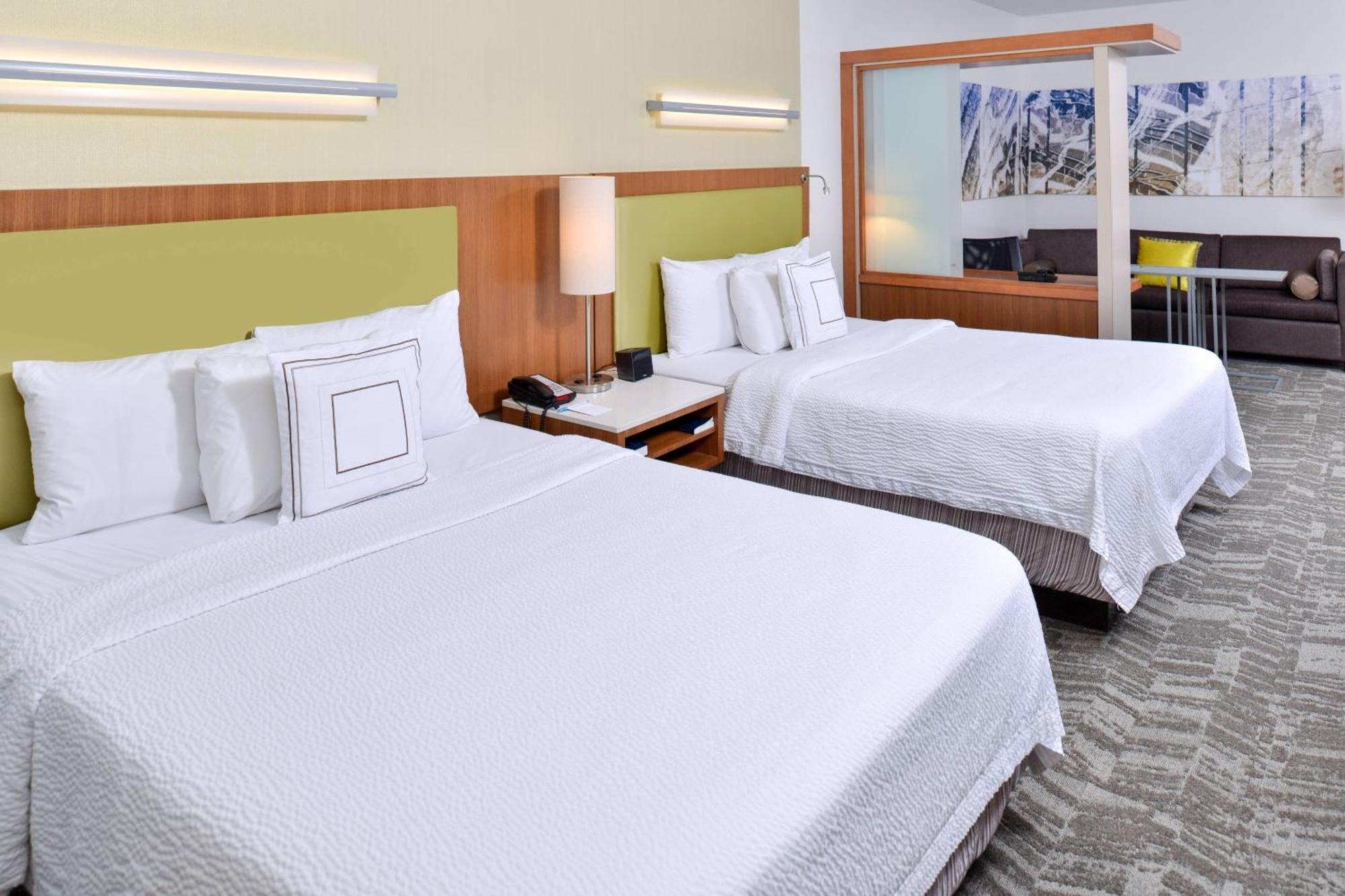 Springhill Suites By Marriott Detroit Metro Airport Ром'юлус Екстер'єр фото