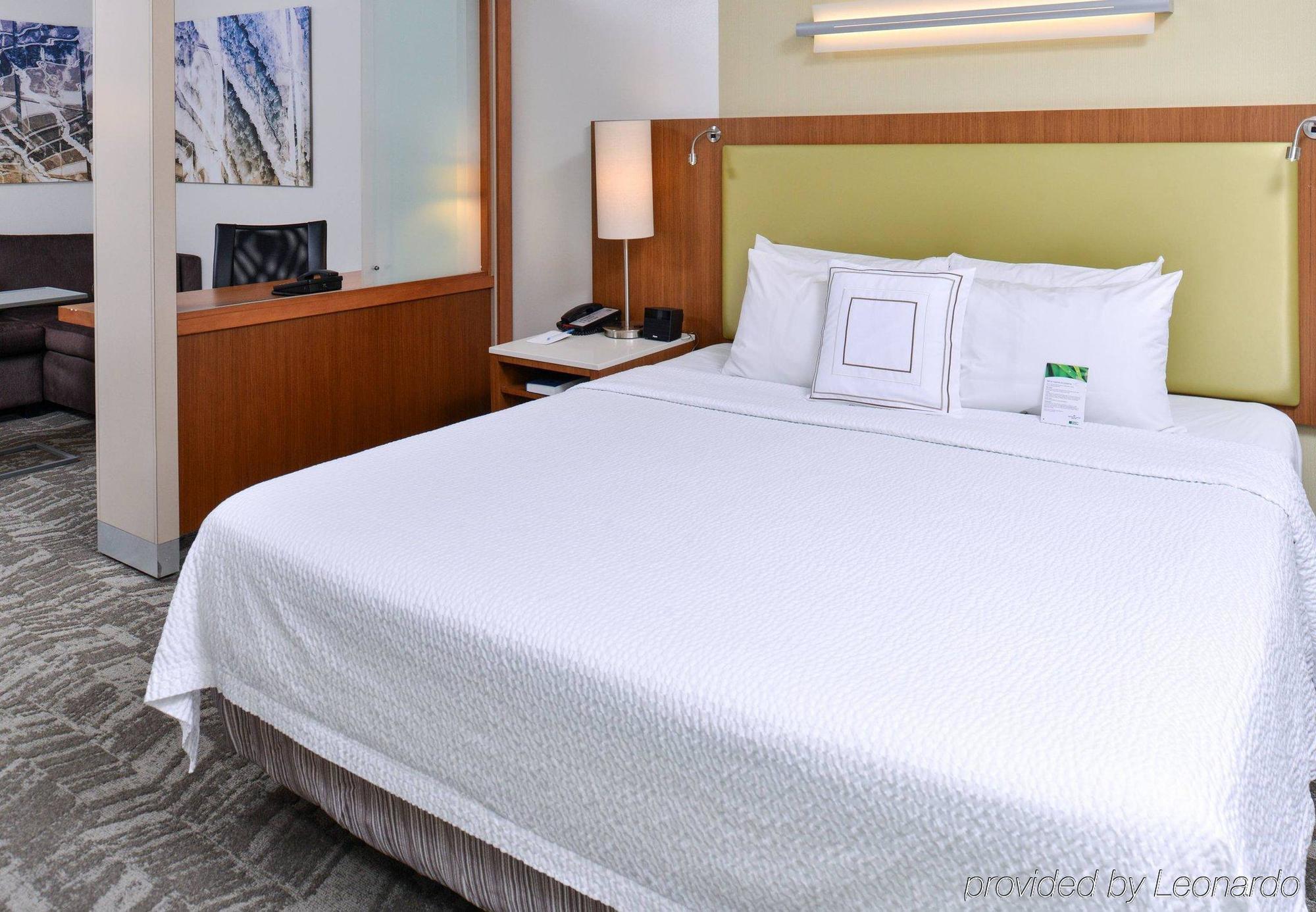 Springhill Suites By Marriott Detroit Metro Airport Ром'юлус Екстер'єр фото